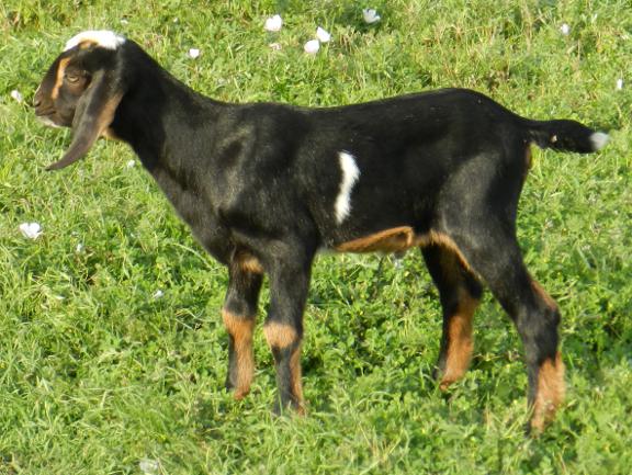 Derrick, 04/07/12